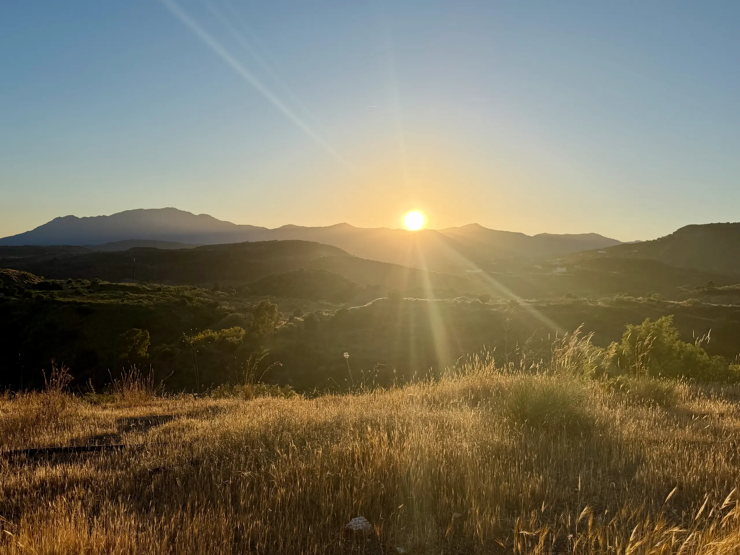 Views and community